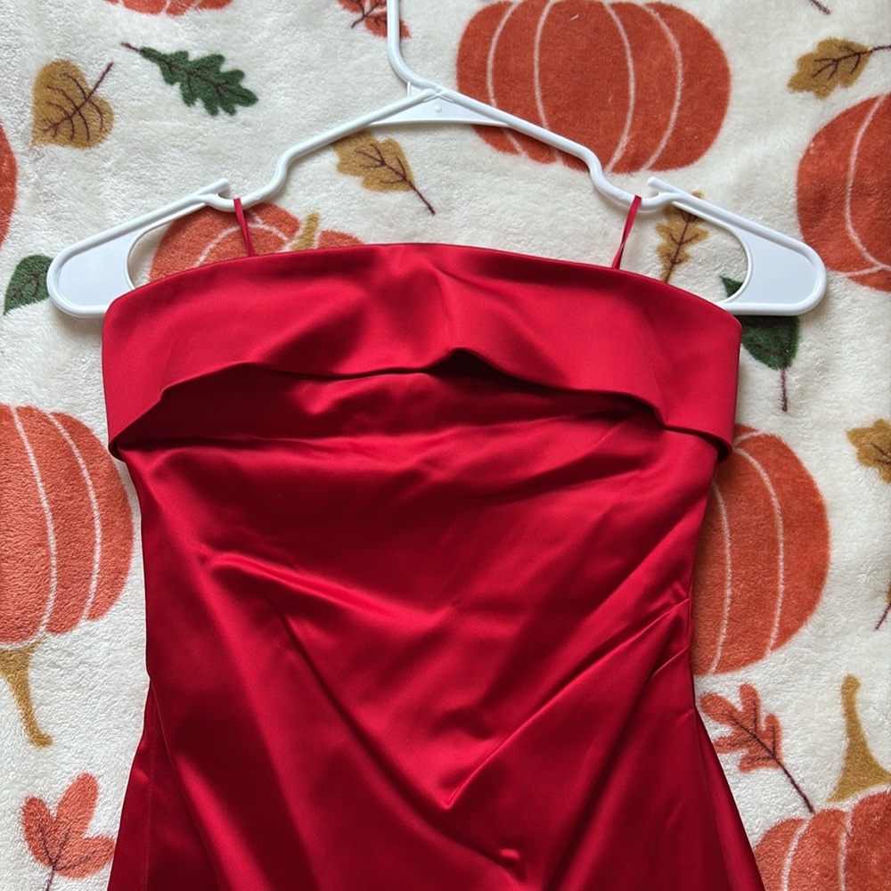 Aritzia Strapless Dress - Picture 8 of 9
